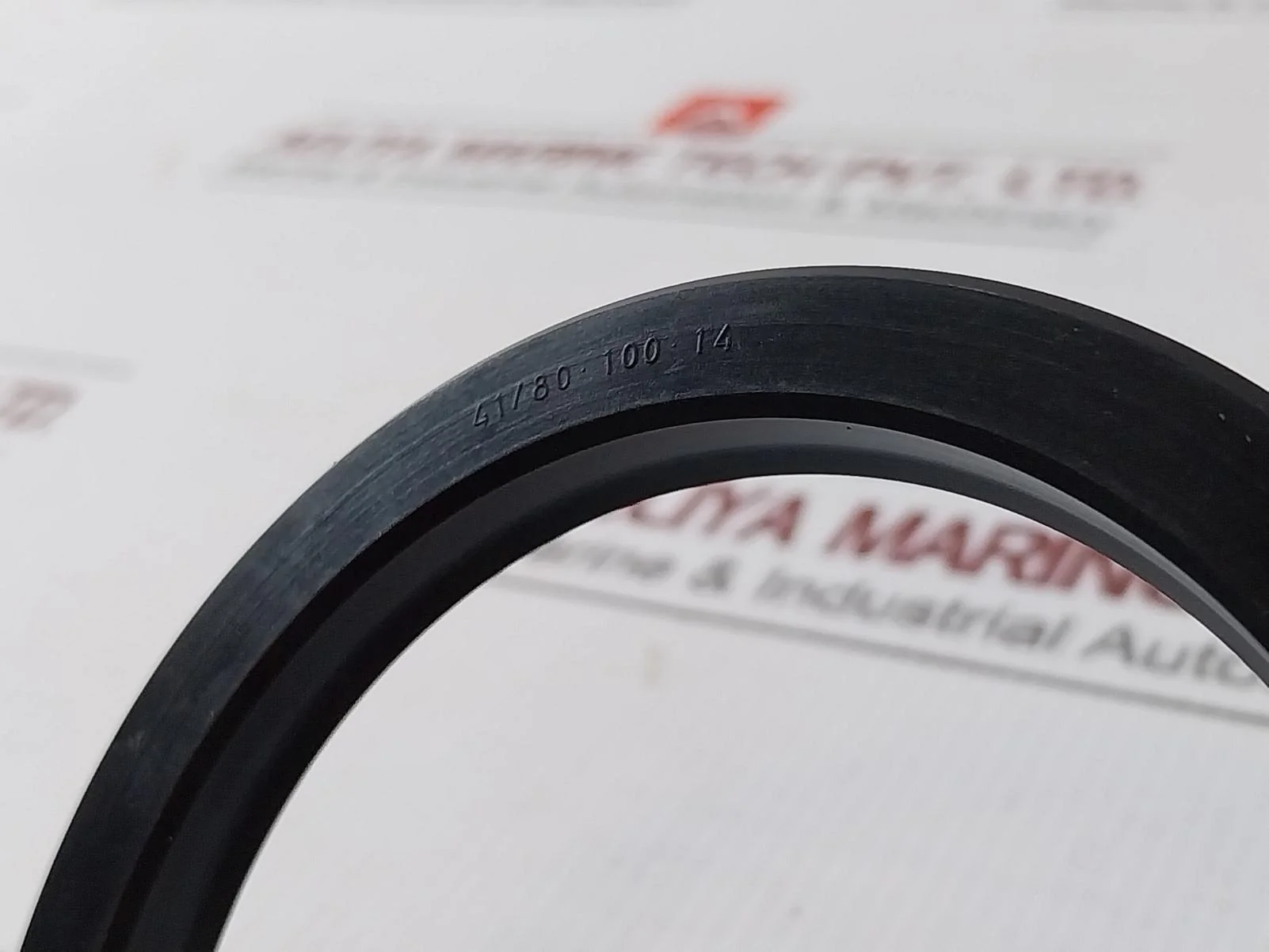 41/80-100-14 Pdf Rotary Shaft Seal - Image 3