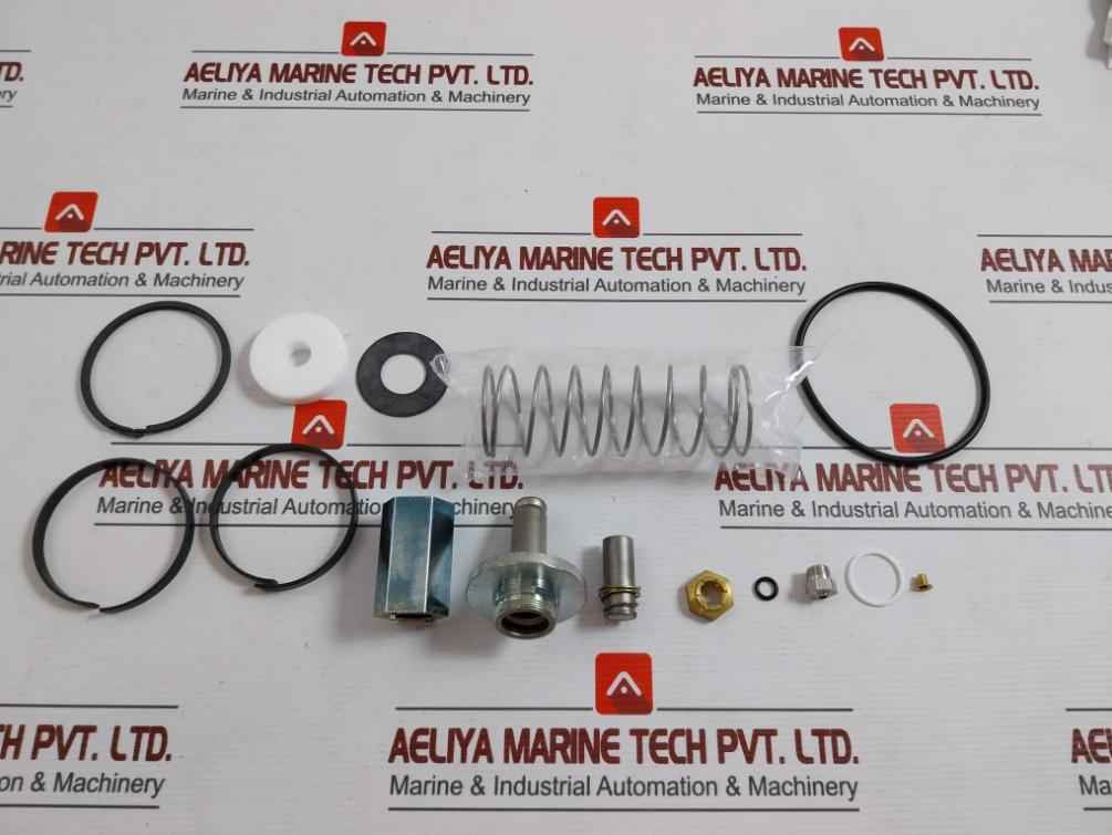 Asco 304046 Rebuild Kit F/ Valve 8222B28 1-1/2" Series 8222 - Image 2