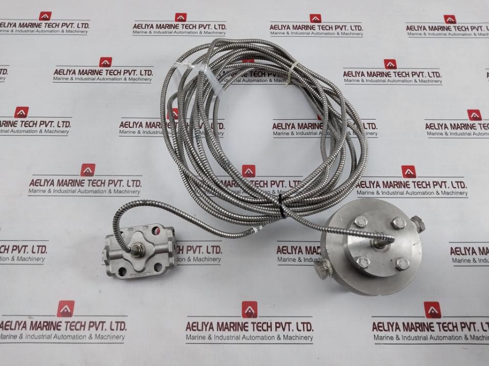 Astm A182 F316L Remote Seal Differential Pressure Transmitter - Image 2
