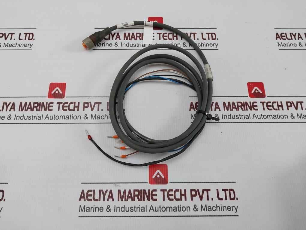 Belden Rkt 4-288/4 P1 Standard Sensor/actuator Single-ended Cordset Meter 1.5 - Image 2