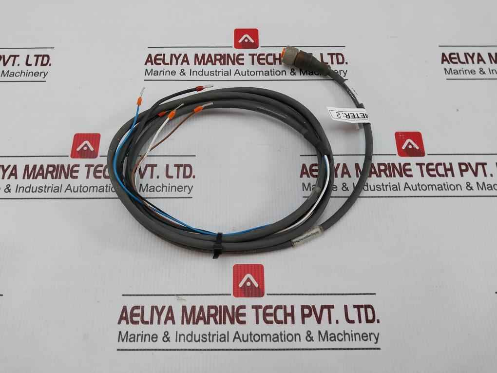 Belden Rkt 4-288/4 P1 Standard Sensor/actuator Single-ended Cordset Meter 2 - Image 2