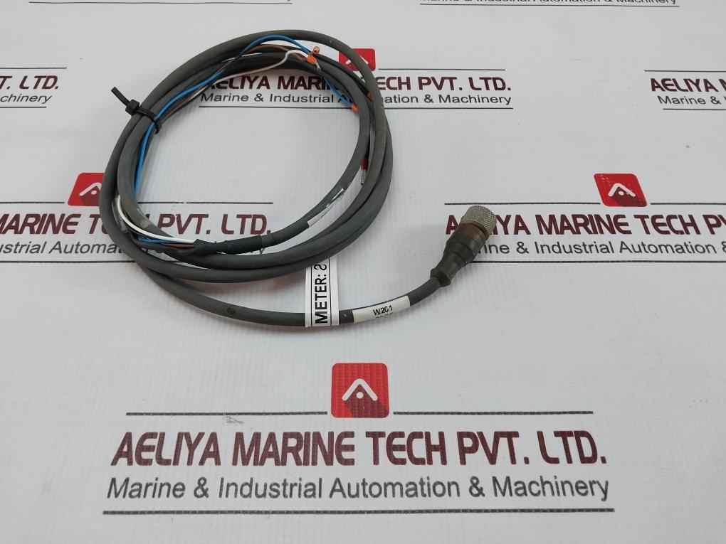 Belden Rkt 4-288/4 P1 Standard Sensor/actuator Single-ended Cordset Meter 2 - Image 4