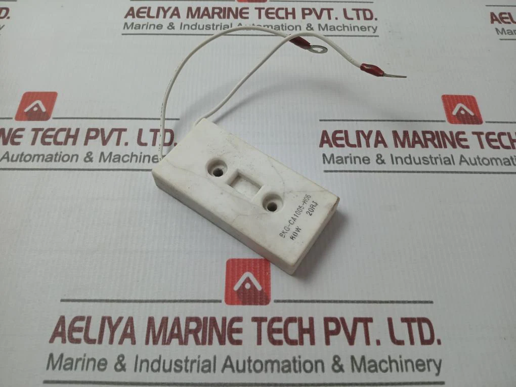 Bkg-ca1005-h06 Resistor 80W - Image 3