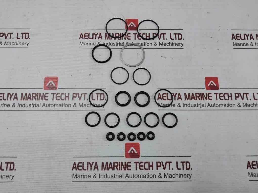 Buxton R10701-2 Air Drive Cycling Valve Repair Kit Ss033D - Image 3