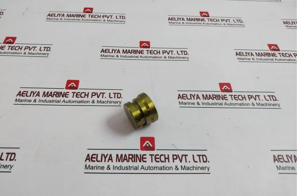 Bv-201 Plug For Water Test - Boiler Safety & Relief Valve - Image 3
