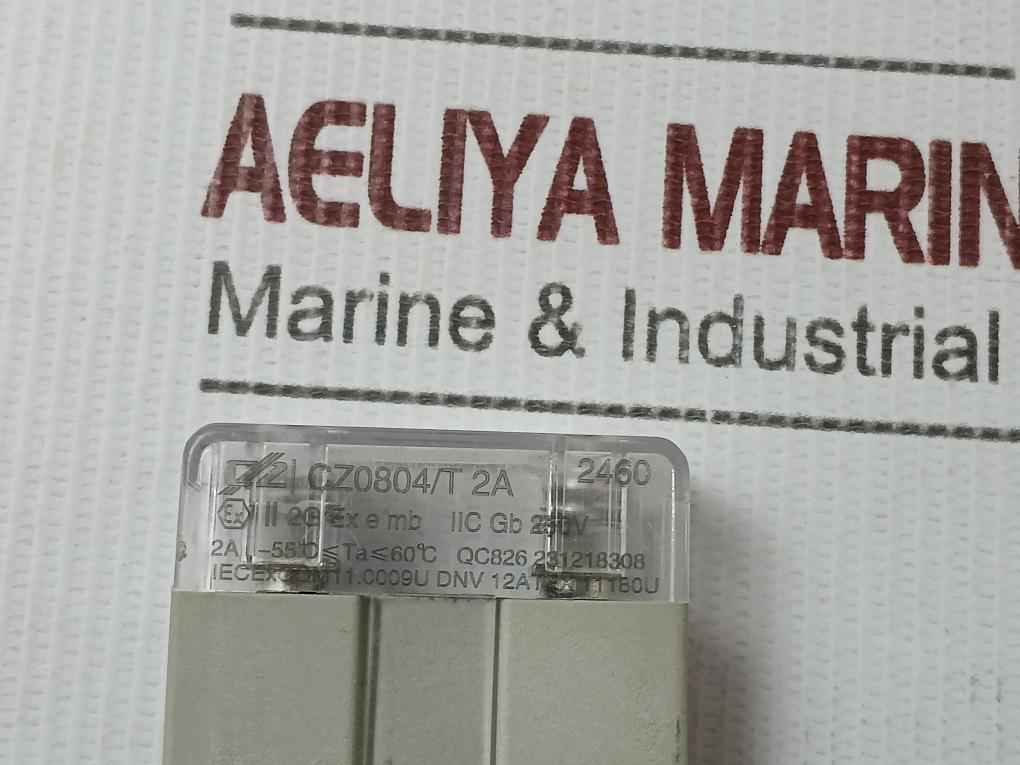 Cz Cz0804/T 2A Fuse Element Small Base 250V - Image 5