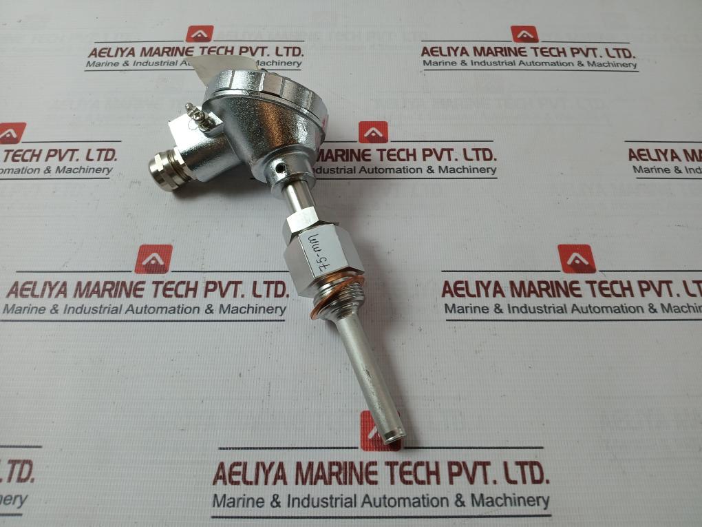 Daeyang Instrument Ttr-ln Resistance Bulb 75-mm Pt 100 Ω Class B - Image 4