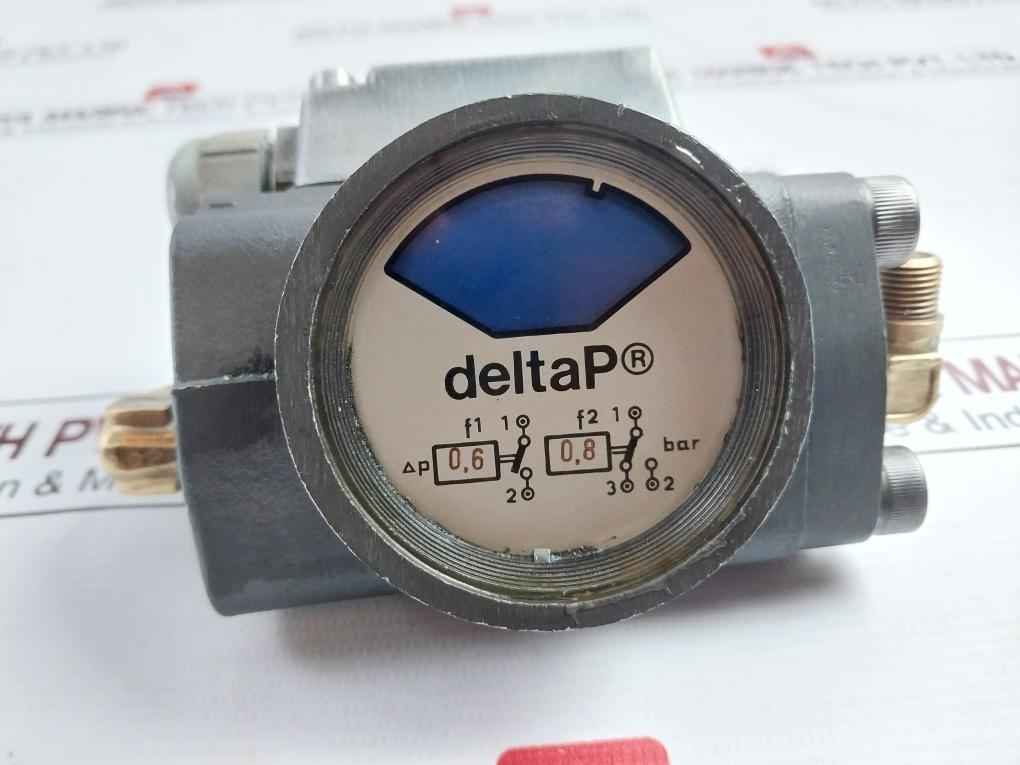 Deltap 0.6-0.8 Bar Differential Pressure Indicator - Image 6