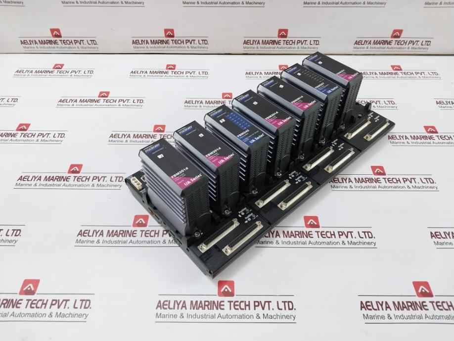 Fox Boro Fbm201D I/A Series Fieldbus Module Rack 24Vdc P0922Yk, P0916Ta, P0914Sq - Image 3