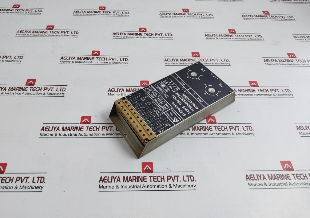 Grandi Motori 2At-2Pt+2S Low Temperature Control Device 24 Vdc Pt100 Sensor - Image 4