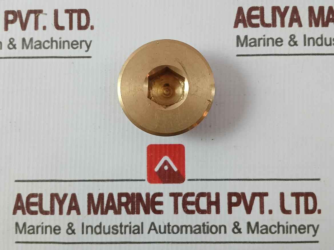 Hamworthy 22921-001 Bearing Plug - Image 2
