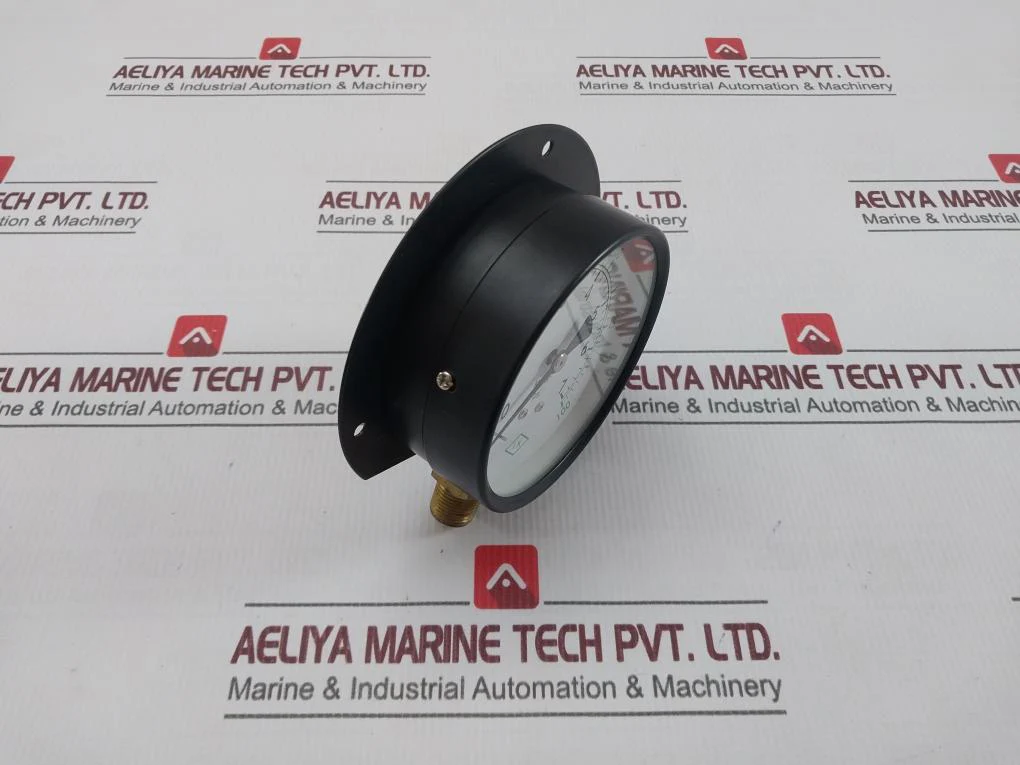Ik Instruments 0-7 Kg/Cm2 Pressure & Temperature Gauge 0-100 Psi - Image 3